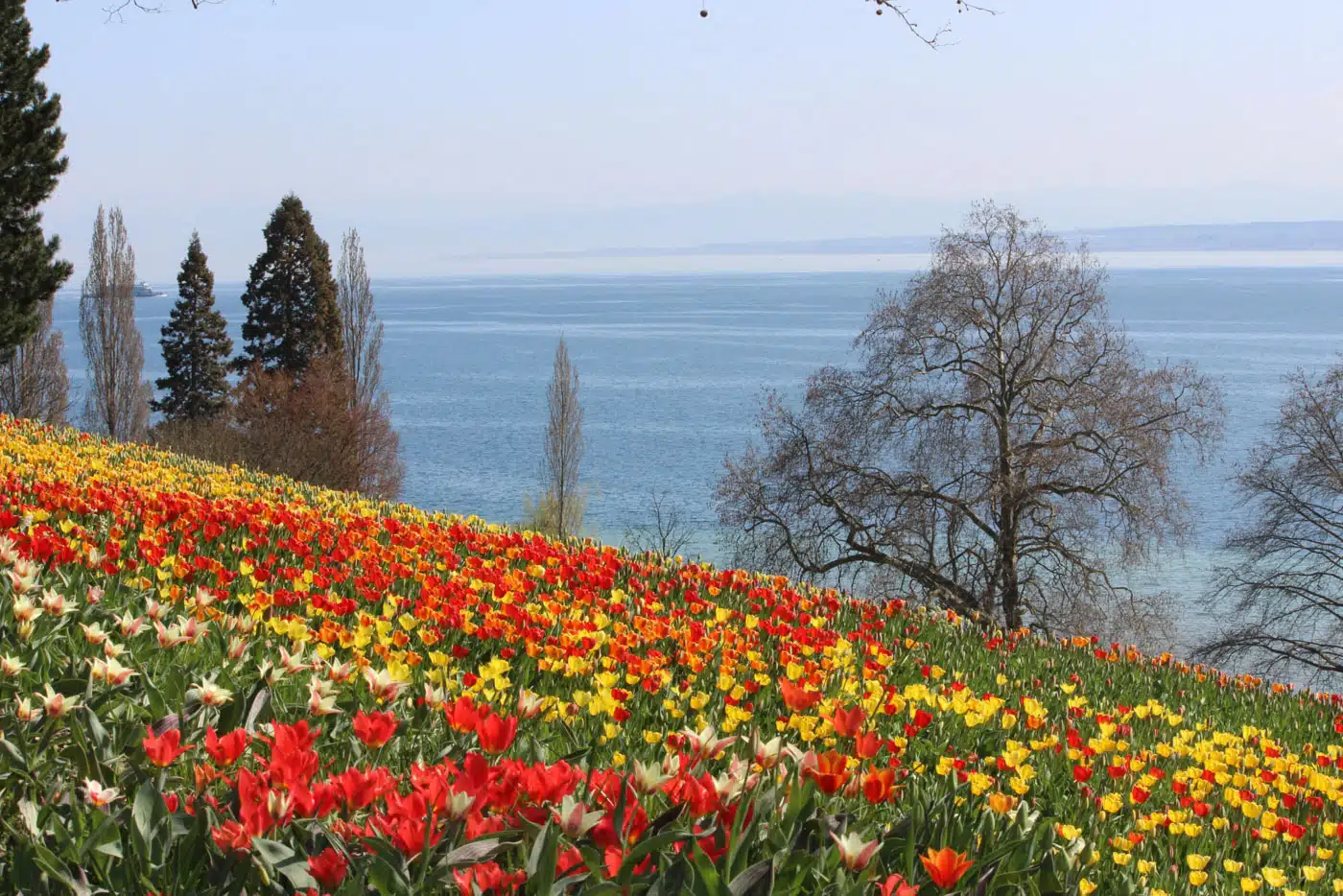 01_SKL_Mainau_Blick_comp